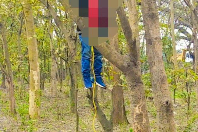 पेड़ से लटकता मिला युवक का शव हत्या की आशंका 
