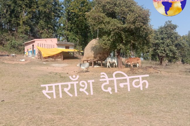 ना बिजली ना पानी फिर कैसा विकास 