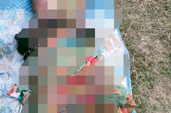 हाथी के आक्रमण से महिला की मृत्यु पति घायल 