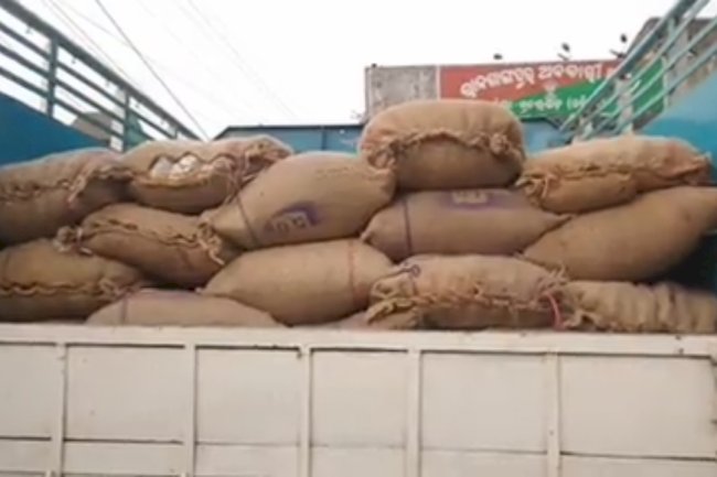 राजगांगपुर में महुआ के साथ वाहन जप्त 