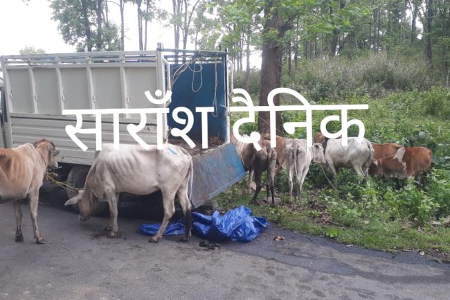 गौतस्करी कर लेजाता वाहन दुर्घटना ग्रस्त 