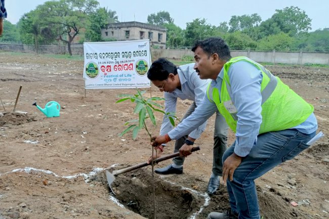 वन महोत्सव पहल लगाए 11 दिनो में 5068 पेड़