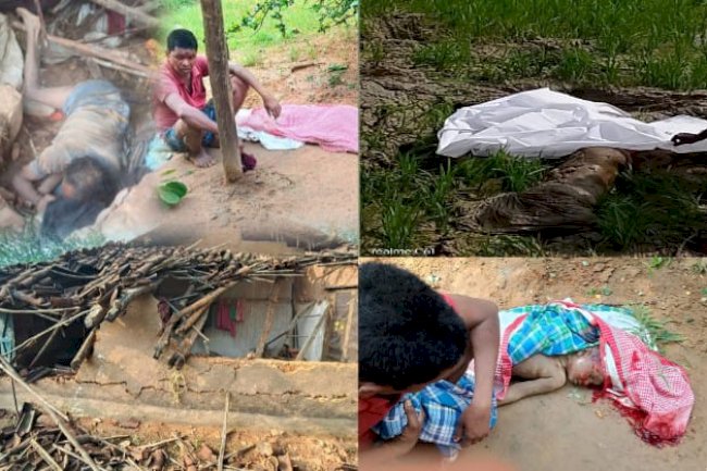 लैलूंगा वन क्षेत्र में हाथियों का आतंक  एक ही रात में तीन मौतें
