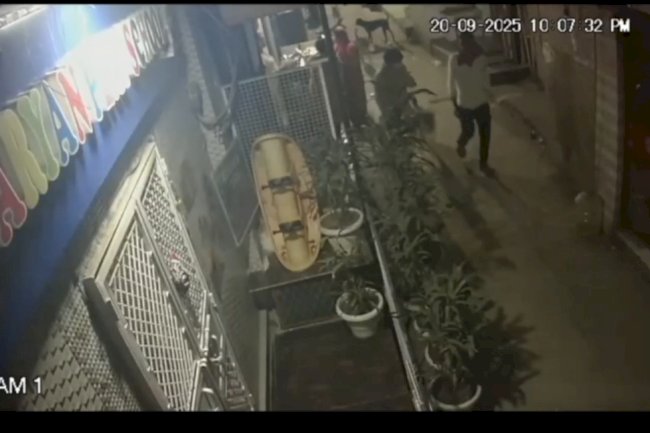 वरिष्ठ पत्रकार मणि आर्य पर जानलेवा हमला