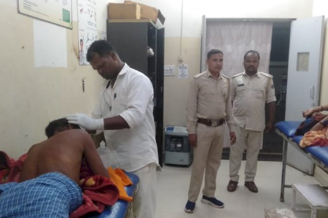 हाथी के हमले से दंपत्ति घायल