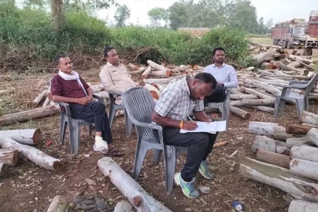 तीन ट्रक अवैध लकड़ी सहित जब्त चालक फरार