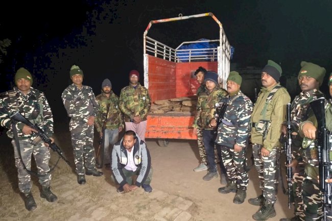श्रावस्ती/बलरामपुर सीमा क्षेत्र में पकडी गई अवैध लकड़ी