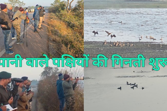 वन विभाग द्वारा पानी वाले पक्षियों की गिनती शुरू