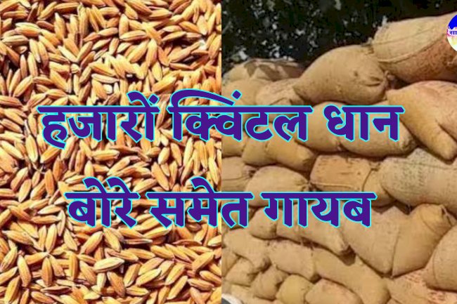 हजारों क्विंटल धान बोरे समेत गायब