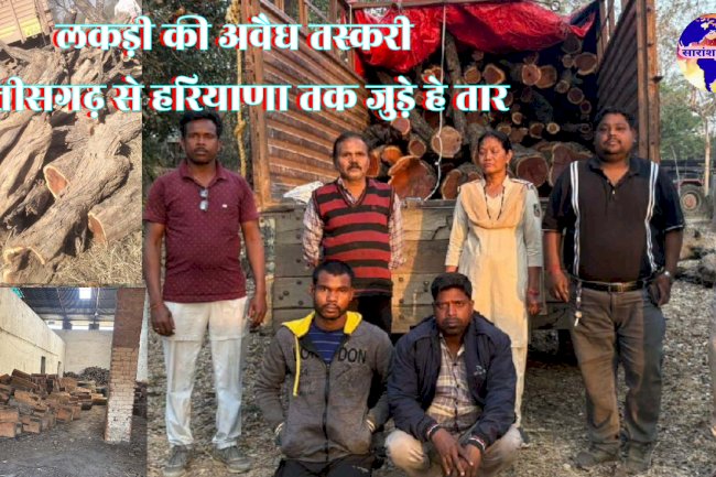 वन विभाग रायगढ़ ने अवैध तस्करी का किया भंडाफोड़ भारी मात्रा में खैर लकड़ी बरामद