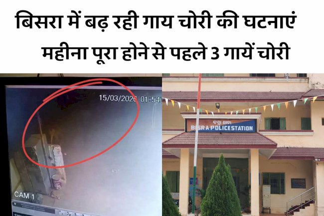 बिसरा में बढ़ रही गाय चोरी की घटनाएं, महीना पूरा होने से पहले 3 गायें चोरी