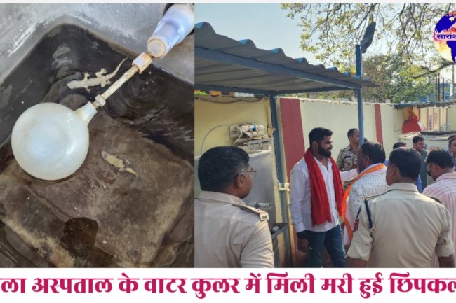 जिला अस्पताल के वाटर कुलर में मिली मरी हुई छिपकली