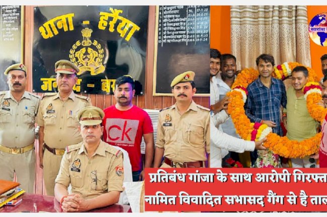 गाॅजा के साथ आरोपी गिरफ्तार विवादित सभासद गैंग का सदस्य होने की आशंका