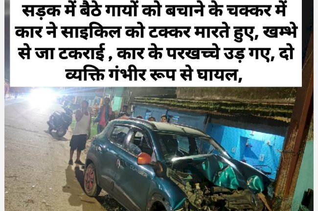 गाय को बचाने के चक्कर में कार दुर्घटना ग्रस्त दो गंभीर रूप से घायल